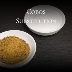 ดาวน์โหลดและฟังเพลง Cobos Substitution พร้อมเนื้อเพลงจาก Claudi Nedo