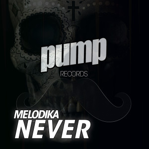 收聽Melodika的Never (Dub Mix)歌詞歌曲