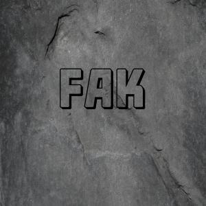 ดาวน์โหลดและฟังเพลง FAK (Explicit) พร้อมเนื้อเพลงจาก koi