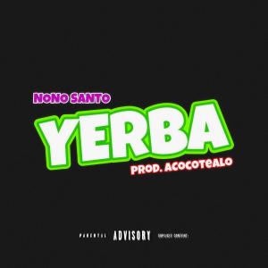 ดาวน์โหลดและฟังเพลง yerba (feat. Hansel El De La H) (Explicit) พร้อมเนื้อเพลงจาก Nono Santo