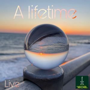A Lifetime (Live)