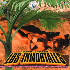 收聽Marimba Orquesta Los Inmortales的De Rodillas Te Pido歌詞歌曲