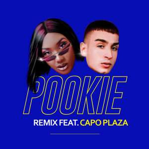 ดาวน์โหลดและฟังเพลง Pookie (feat. Capo Plaza) (Remix) พร้อมเนื้อเพลงจาก Aya Nakamura