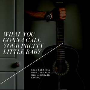 Album What You Gonna Call Your Pretty Little Baby oleh Joan Baez