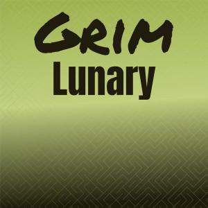 Various的专辑Grim Lunary