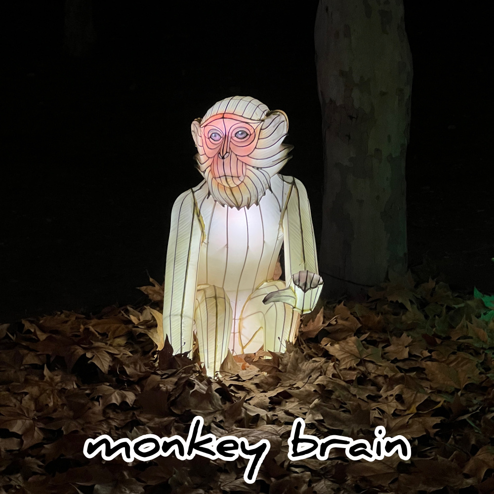 Monkey Brain