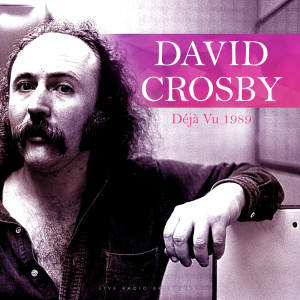 收听david crosby的Déjà Vu (Live)歌词歌曲