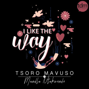 Dengarkan I Like the Way lagu dari Tsoro Mavuso dengan lirik