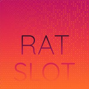 Album Rat Slot from Various