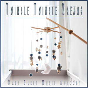 Baby Sleep Music Academy的專輯Twinkle Twinkle Dreams: Perfect Bedtime Baby Lullabies