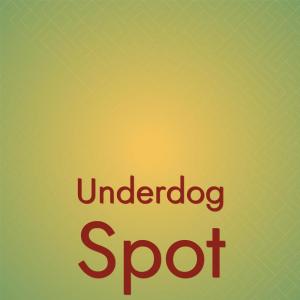 Various Artists的專輯Underdog Spot