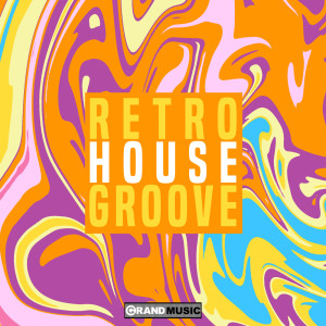 Various Artists的專輯Retro House Groove