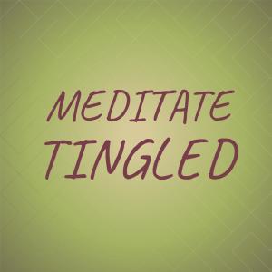 Various Artists的專輯Meditate Tingled