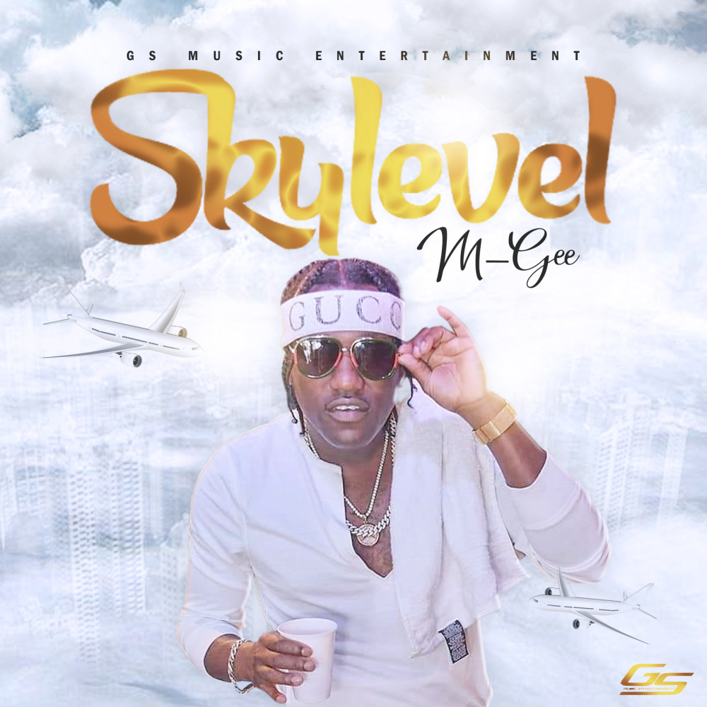 Skylevel