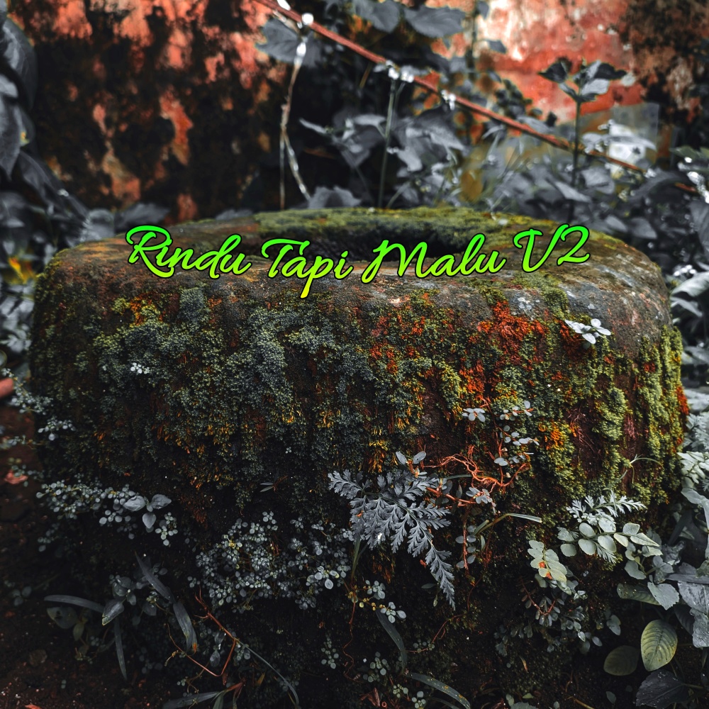 Rindu Tapi Malu, Vol. 2