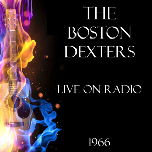 Listen to Mary Anne (Live) song with lyrics from The Boston Dexters