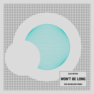 Album Won't Be Long (Seb Wildblood Remix) oleh Alex Metric