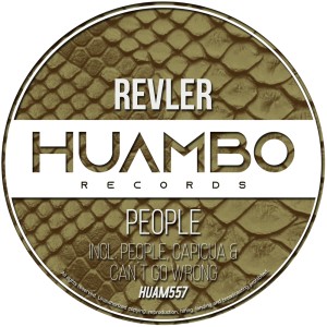 Listen to Capicua (Fun Mix) song with lyrics from Revler