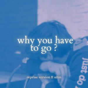 Stran的專輯why you have to go (reprise) (feat. Sitm)