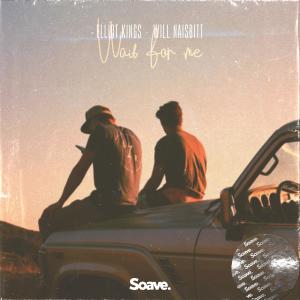 Listen to Wait For Me song with lyrics from Elliot Kings