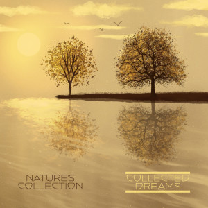 Dengarkan lagu Nature's Collection nyanyian Collected Dreams dengan lirik