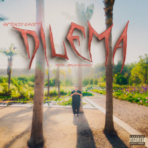 default album img