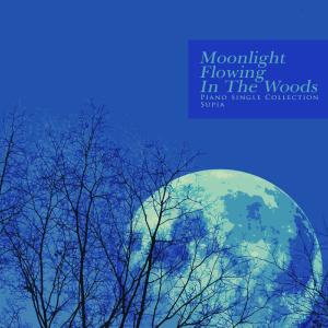 Album In the moonlight forest oleh Supia