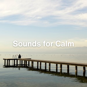 Album Sounds for Calm oleh White Noise