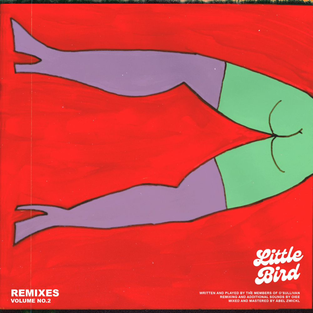 Little Bird (OIEE Remix Radio Edit)