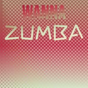 Album Wanna Zumba from Various