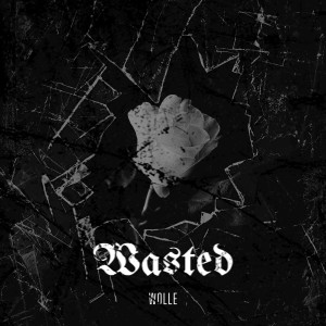 Listen to Wasted song with lyrics from Wolle