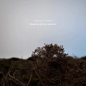 Joshua Trinidad的專輯Sleeping with My Worries