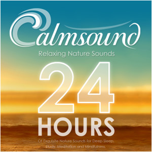 อัลบัม Relaxing Nature Sounds: 24 Hours of Exquisite Nature Sounds for Deep Sleep, Study, Meditation and Mindfulness ศิลปิน Calmsound