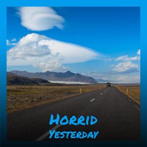 Various的专辑Horrid Yesterday