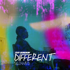 Album Different (Slowed) (sped up + slowed Remix) oleh Thy Gordon