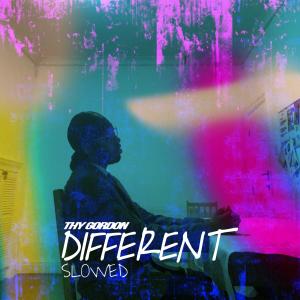 收聽Thy Gordon的Different (Slowed) (sped up + slowed Remix)歌詞歌曲