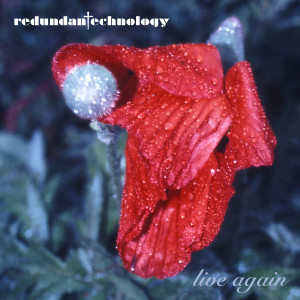 收听Redundant Technology的Do It Again歌词歌曲