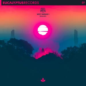 Listen to Why Should I (Haumea Remix) (Haumea Remix|Haumea Remix) song with lyrics from Excess