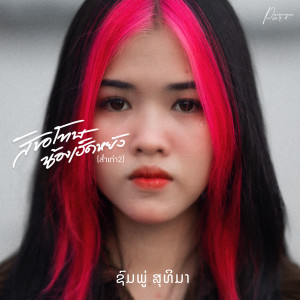 ดาวน์โหลดและฟังเพลง สิขอโทษน้องเฮ็ดหยัง พร้อมเนื้อเพลงจาก ชมพู่ สุธิมา