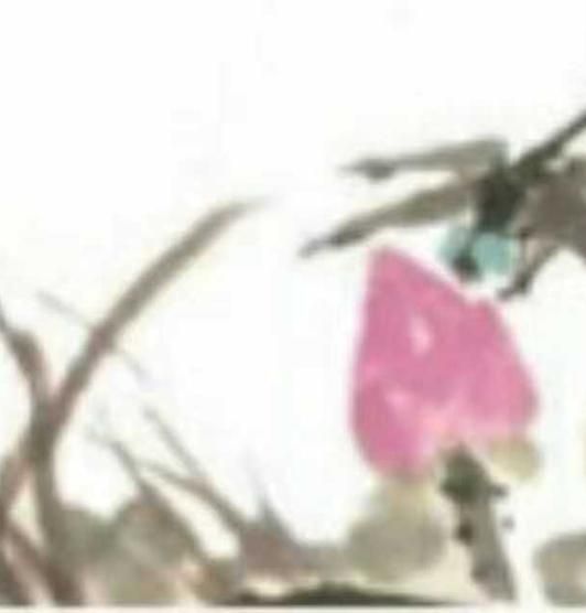 红蜻蜓