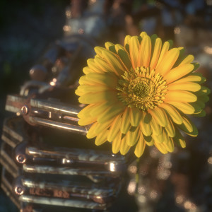 default playlist img