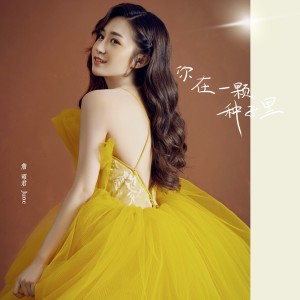 Album 你在一颗种子里 from 