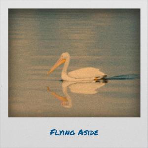 Various的专辑Flying Aside