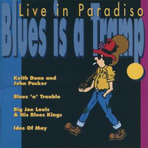 ดาวน์โหลดและฟังเพลง Trouble at Your Door (Live) พร้อมเนื้อเพลงจาก Big Joe Lewis & His Blues Kings