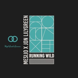 ดาวน์โหลดและฟังเพลง Running Wild (Rustem Rustem Remix) (Radio Edit|Rustem Rustem Remix) พร้อมเนื้อเพลงจาก Mesijo