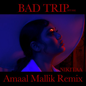 Nikitaa的专辑Bad Trip Lofi (Remix)
