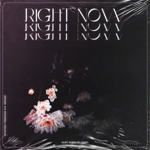 Listen to Right Now (Radio Mix) song with lyrics from MJST