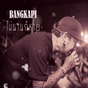 ดาวน์โหลดและฟังเพลง ไม่นานก็หาย พร้อมเนื้อเพลงจาก BANGKAPI
