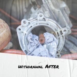 Album Withdrawal After from Various