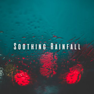 Pacific Rain的专辑Soothing Rainfall: Ambient Music for Comforting and Reassuring Cats
